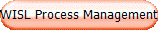 WISL Process Management