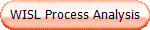 WISL Process Analysis