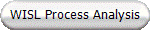 WISL Process Analysis