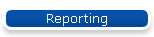 Reporting